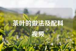 茶叶的做法及配料视频