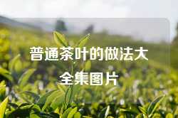 普通茶叶的做法大全集图片