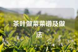 茶叶做菜菜谱及做法