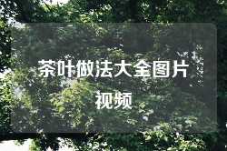 茶叶做法大全图片视频