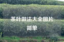 茶叶做法大全图片简单