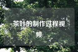 茶叶的制作过程视频