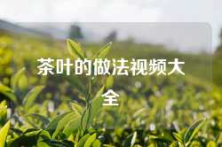 茶叶的做法视频大全