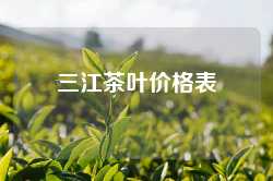 三江茶叶价格表