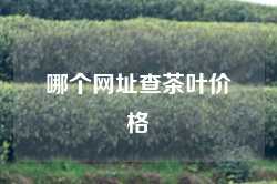 哪个网址查茶叶价格