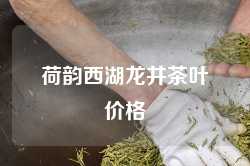 荷韵西湖龙井茶叶价格