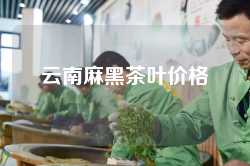 云南麻黑茶叶价格