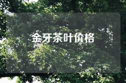 金牙茶叶价格