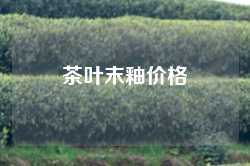 茶叶末釉价格