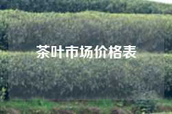 茶叶市场价格表
