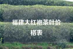 福建大红袍茶叶价格表